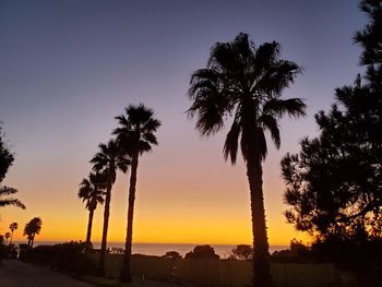 Silhouette palm trees against sky during sunset