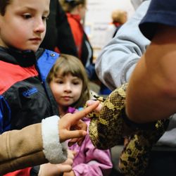 Close-up of boy with hands