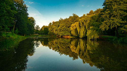 Reflection of trees in lake against sky