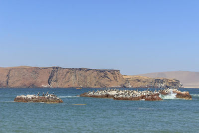 Scenic view of sea against clear sky