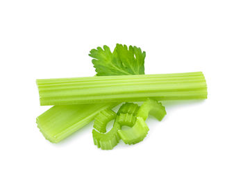 High angle view of green leaf on white background