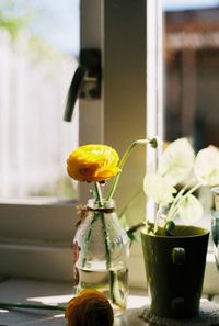 Close-up of yellow flower in glass vase on table