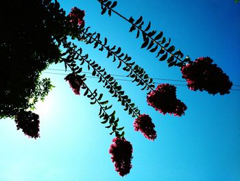 Low angle view of silhouette tree against sky