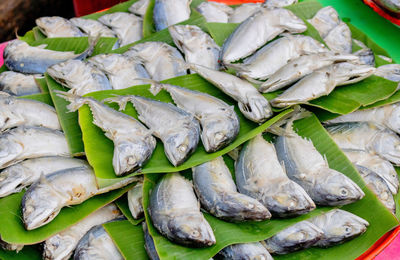 High angle view of fish for sale in market