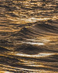 Golden waves under intense sunset at lago di garda