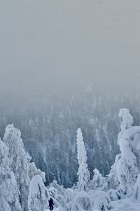 Scenic view of snow covered land