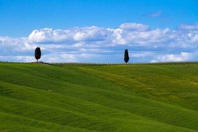 Scenic view of grassy landscape against cloudy sky