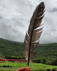 Person holding umbrella against sky