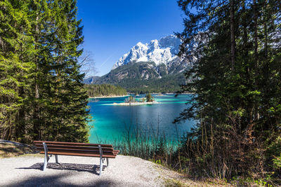 Empty bench by trees against blue sky