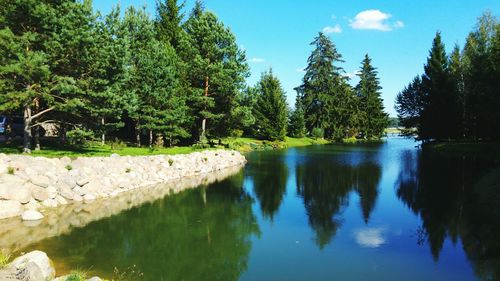 Scenic view of lake by trees against sky