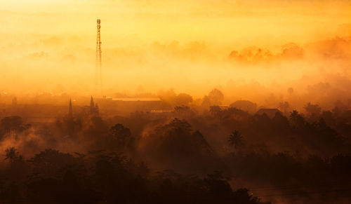 Scenic view of trees amidst fog during sunset