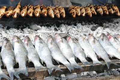 Close-up of fish at market stall