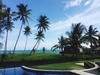 Palm trees by swimming pool against sky