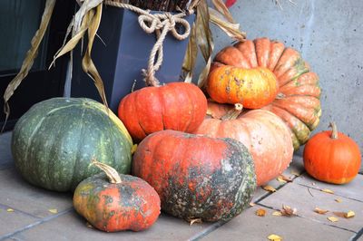 Close-up of pumpkins