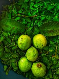 Full frame shot of fruits