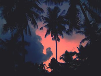 Silhouette palm trees against sky during sunset