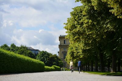 Rear view of friends riding bicycle on road by building and trees against sky