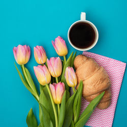 Directly above shot of pink tulip flowers against blue background