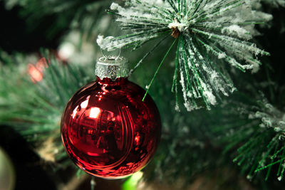 Close-up of christmas decoration hanging on tree