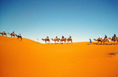 People riding horses in desert against clear blue sky