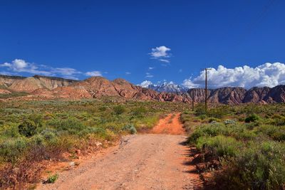 Dirt road amidst plants and land against blue sky