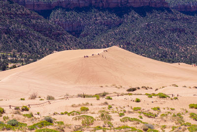 Scenic view of desert. coral sand dunes park, ut.