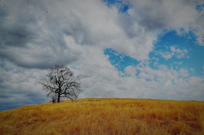 Scenic view of landscape against sky