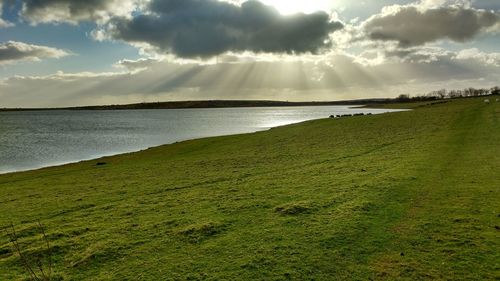 Scenic view of sea and green field against cloudy sky