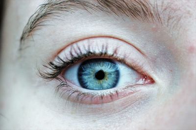 Close-up portrait of human eye