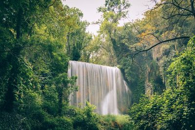 Scenic view of waterfall