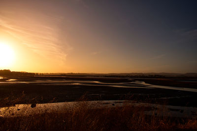Scenic view of field against sky during sunset