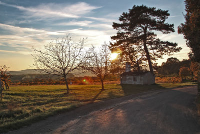 Road passing through field