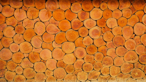 Full frame shot of logs