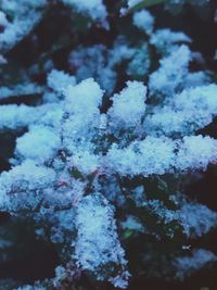 Close-up of snow against sky