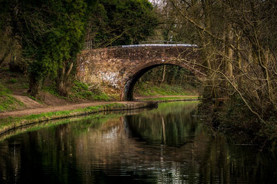 Reflection of tree on bridge against sky
