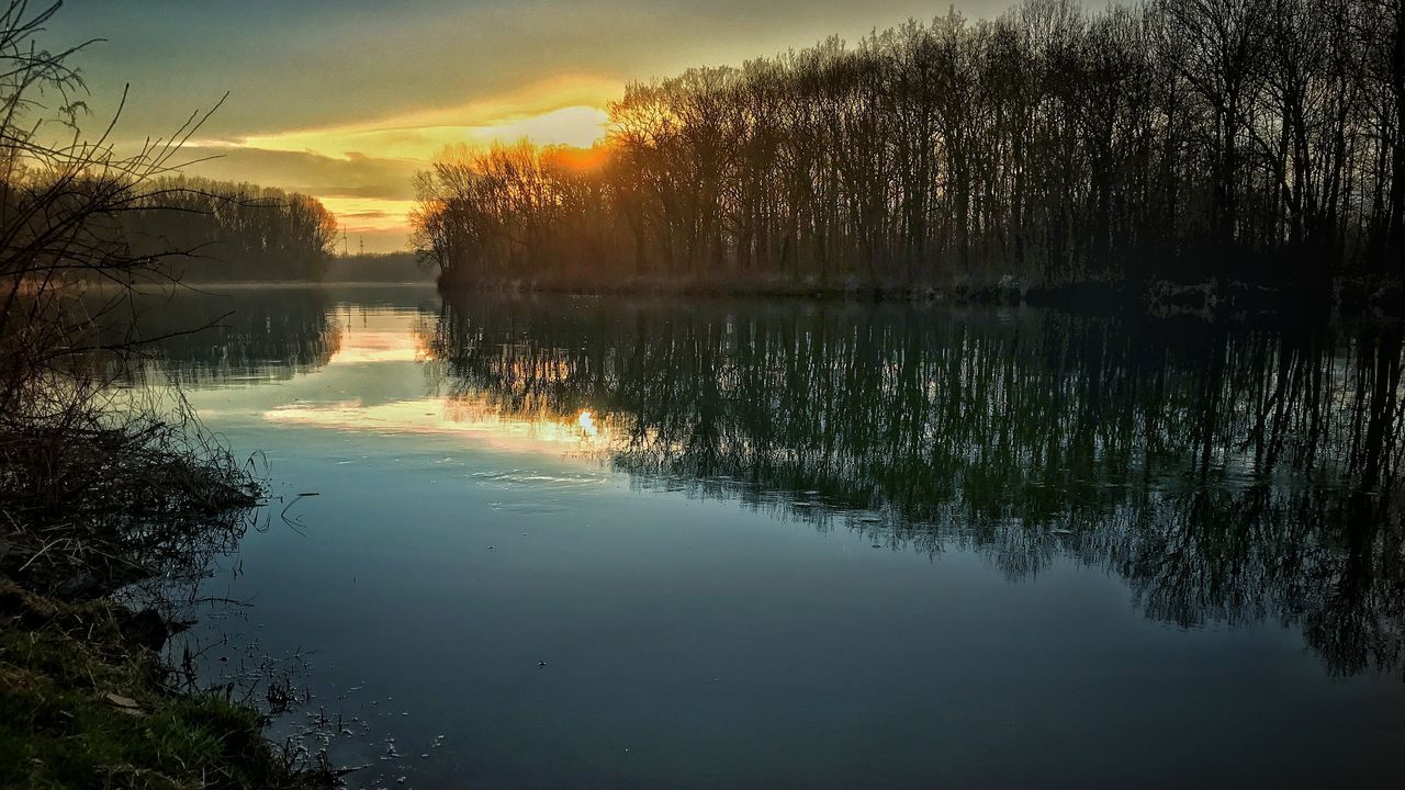 reflection, sunset, water, sky, nature, wet, tree, lake, beauty in nature, scenics, no people, silhouette, tranquility, outdoors, reflection lake, animal themes, day