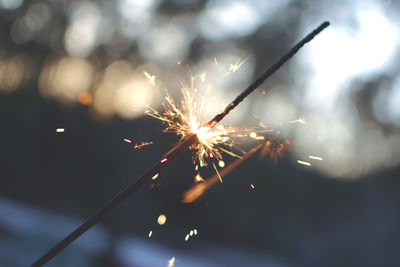 Close-up of burning sparkler