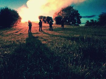 Scenic view of grassy field against sky at sunset