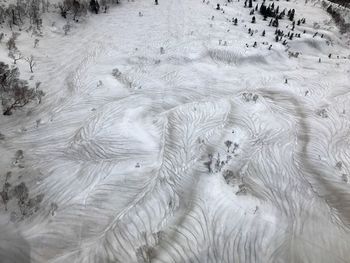 High angle view of birds on sand