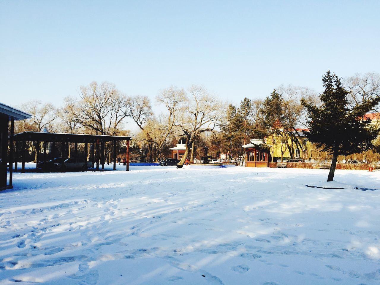 snow, winter, cold temperature, tree, clear sky, season, built structure, architecture, weather, house, covering, building exterior, field, landscape, white color, nature, copy space, frozen, snow covered, tranquility