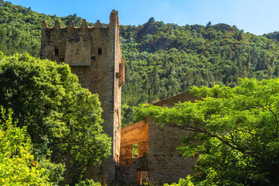 Plants by old building against sky