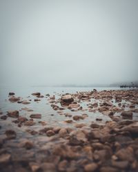 Surface level of pebble beach against clear sky