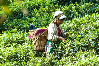 Woman working in basket