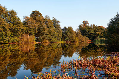 Reflection of trees on lake during autumn