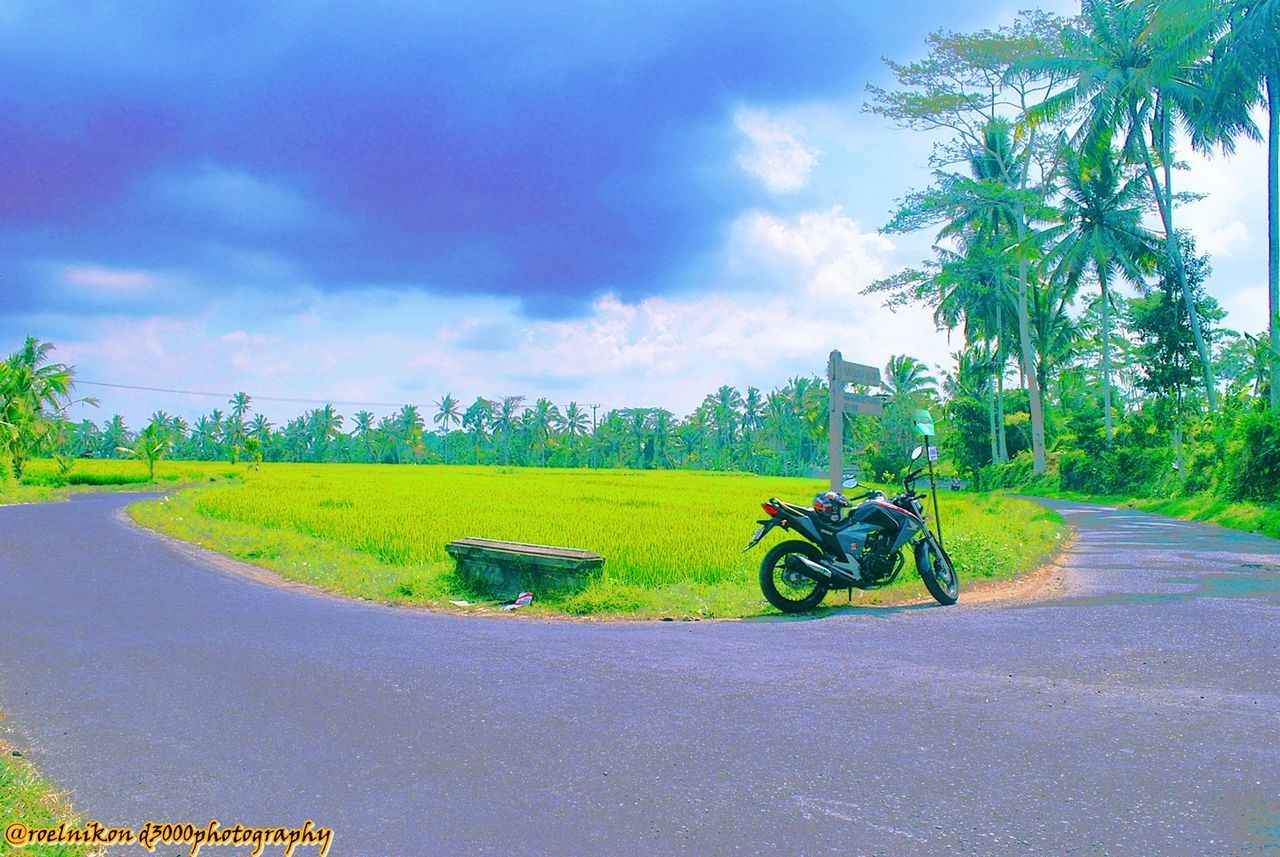 transportation, sky, cloud - sky, road, bicycle, land vehicle, the way forward, tree, mode of transport, cloudy, cloud, grass, street, diminishing perspective, country road, dirt road, green color, landscape, vanishing point, nature