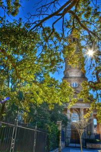 Low angle view of trees against sky