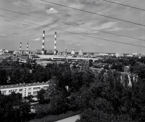 Trees and city against sky