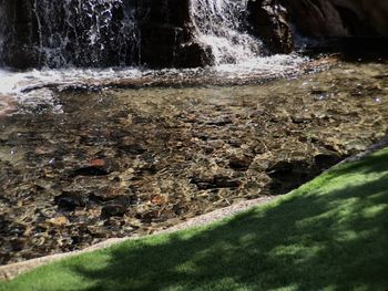 Scenic view of water in grass