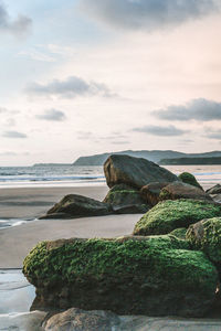 Scenic view of rocks on beach against sky
