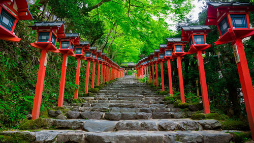 Footpath leading towards temple
